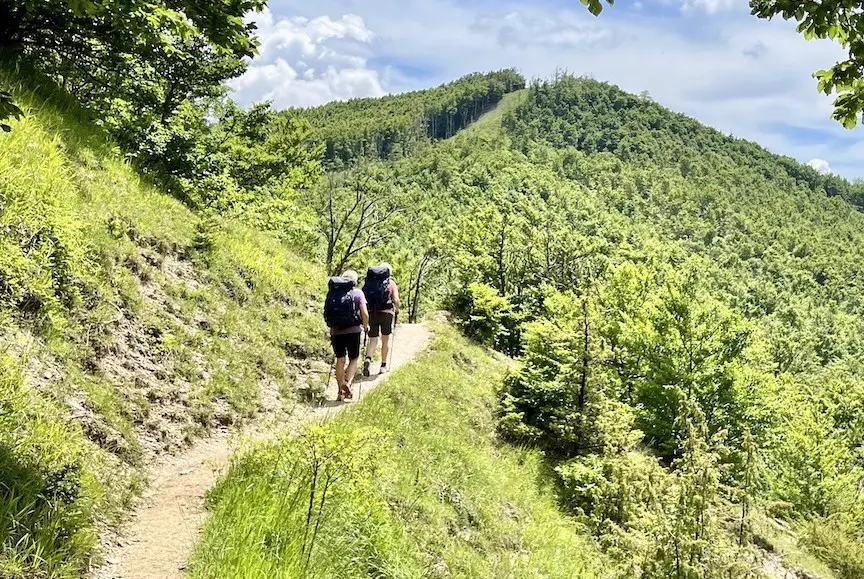 Active Outdoors
